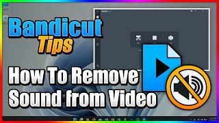 How to Remove Sound from video - Bandicut Video Cutter