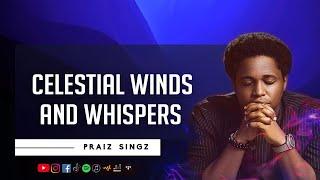 Praiz Singz - Celestial Winds and Whispers | 1 hour Prayer Instrumental | Therapeutic Instrumental