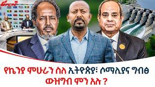 የኬንያ ምሁራን ስለ ኢትዮጵያ፣ ሶማሊያና ግብፅ ውዝግብ ምን አሉ ? @ethiopiareporter