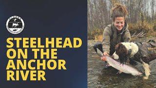 Steelhead on the Anchor River