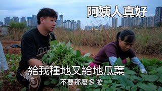 種花生的阿姨人真好，給我們地種菜又給吃花生，最後還摘地瓜葉給我們帶回去吃【我是杰少】