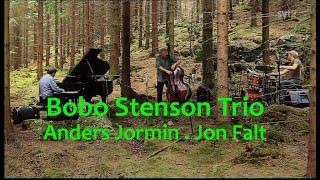 Bobo Stenson Trio - In The Woods