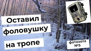 Оставил фотоловушку возле тропы. Люди,собаки попали в камеру. Фотоохота зимой в лесу.