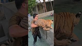 Naughty Kid Wants to Play with Tiger in the Pool | Nouman Hassan |