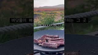 뷰 가 너무 아름다운 강화도 어딘가에서 쏠로캠핑/캠크닉/Camping&picnic #motorcycle #camping #캠핑 #캠크닉 #노지캠핑 #강화도여행 #한국여행