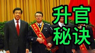 升官秘诀｜官员｜升官｜政坛｜县委书记｜