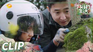 张子枫刘晓邑一同采青苔 妹妹好奇心满满超可爱！《向往的生活5》 Back to Field S5 EP3丨MGTV