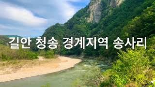 안동 청송 경계지역 길안 송사리 마사마을 | 천지갑산 | 길안천 | 치성드린 흔적이 있는 신령스런 노거수