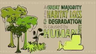 Habitat Loss