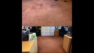 EMV Professional Carpet Cleaning Machine - Dual Combo Clean - Before & after