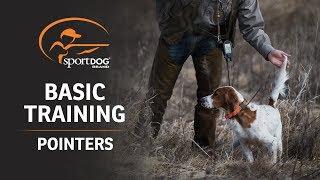 Basic Training :: Pointers