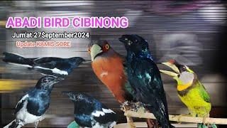 Burung-burung langka mulai pada hadir@abadibirdcibinong#Jum'at 27 September 2024