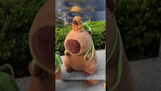 Capybara Stuffed Animals for Every Capybara Enthusiast or Plushie Fan  #linkinbio