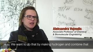 Aleksandra Vojvodic: Engineering Energy Policy