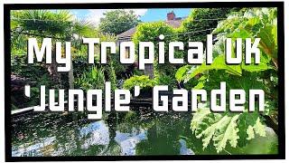 My Tropical UK 'Jungle' Garden - Finally Feels Like Summer