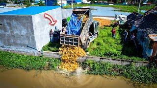 Starting a New Project! Filling Land​ Delete Pond, Bulldozer KOMATSU D20P, 5Ton Truck Pushing Stone