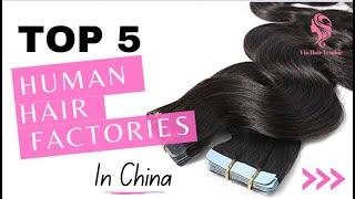 Top 5 Human Hair Factories in China - Vin Hair Vendor