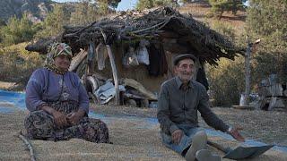 Toprak Altında Yaşam - Yer Köm 4K