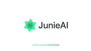 Introducing JunieAI: Enterprise-grade AI built for private markets GPs