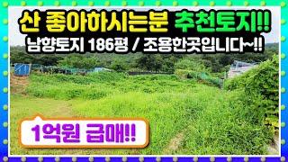 남향,  산 좋아하는분 추천~  한적하게 힐링하기 좋은 곳 입니다~~  주변시세보다  싸게 나온 토지에요~