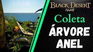 [BDO Lifeskill] Coleta: Árvore-Anel (Loopy Tree rotation)