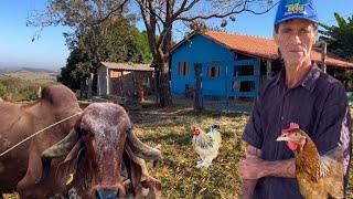 HE LIVES ON THE FARM AND RAISES MANY ANIMALS IN THE FREE-RANGE SYSTEM