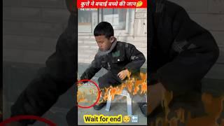 देखिए कुत्ते ने कैसे बचाई बच्चे की जान #funny #shorts #trandingshorts