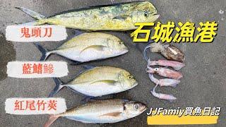 JJFamily買魚日記～石城漁港光榮定置漁場～藍鰭鯵、紅尾竹莢魚、鬼頭刀113/5/26