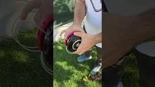 Testina W5 Bazargiusto