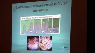 Part 2 Gluten Intolerance and Rheumatic Disease