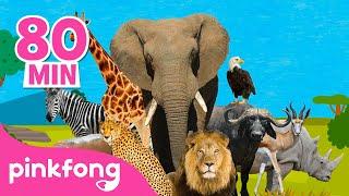 ¡Esta Es la Sabana |  | +Recopilación | Canciones de Animales | Pinkfong Canciones Infantiles