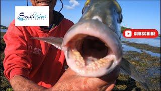 Sea Fishing UK - Gilthead Bream fishing how to - with special guest Martin “Larks” Larking