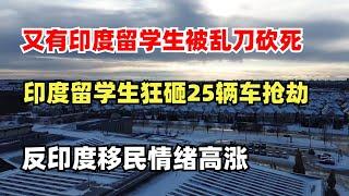 又有印度留学生被乱刀砍死，印度留学生狂砸25辆车抢劫，反印度移民情绪高涨