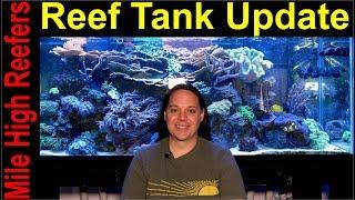 Reef Update and 5 Years of Mile High Reefers