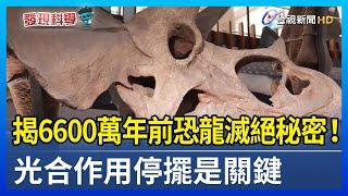 揭6600萬年前恐龍滅絕秘密！ 光合作用停擺是關鍵【發現科學】