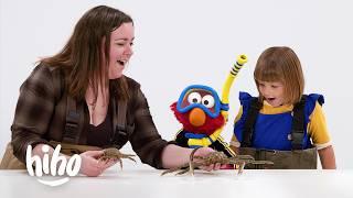 Kids and Elmo Meet a Marine Biologist | HiHo Kids