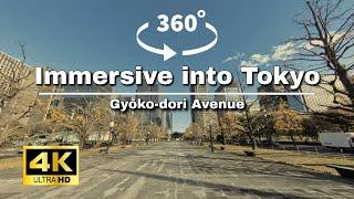 【4K・360°】Boulevard of Brilliant Tokyo Dreams on Gyoko-dori in Japan #travel #vr #immersive