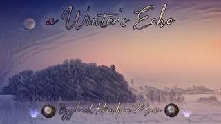 A Winter's Echo - Yggdrasil Handpan Music