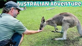 Queensland and Central Coast Australia | Sydney | Humpback Whales, Kangaroos, Flying Foxes, etc 