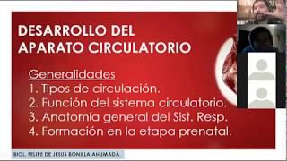 Biología del desarrollo - Aparato circulatorio