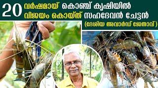 കൊഞ്ച് കൃഷിയിൽ വിജയം കൊയ്ത് സഹദേവൻ ചേട്ടൻ | Prawns Farming Malayalam | Shrimp Farming