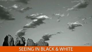 Seeing in Black and White with Eileen Rafferty