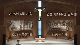 남양성모성지 / 2025. 6. 20 / 연중 제11주간 금요일 / 묵주기도 / 미사