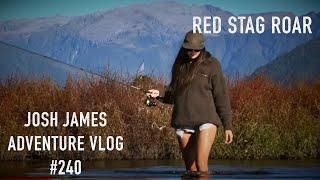 Josh James New Zealand Adventure VLOG 240 - red deer hunting in the roar 12 point stag - Part 3 of 4