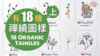 【圖樣集】有機圖樣Organic Tangles (上) 跟畫版 ▶︎ Zentangle 禪繞畫