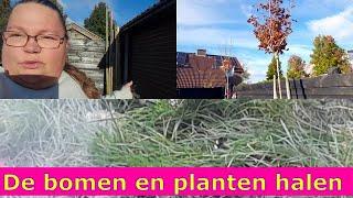 De bomen en planten halen bij het andere huis