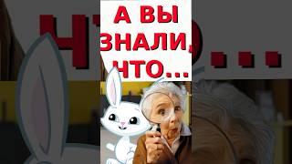 Даже малыши катаются, а ты нет! #rollegcentrs #снуля #ролики #скейты #индивидуальные #занятия