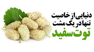 دنیایی از خاصیت تنها در یک مشت توت سفید