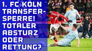 TRANSFERSPERRE für den 1. FC Köln! Grandiose Rettung oder extremer Absturz?