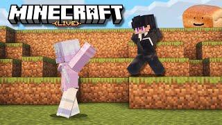 Minecraft Survival | LIVE